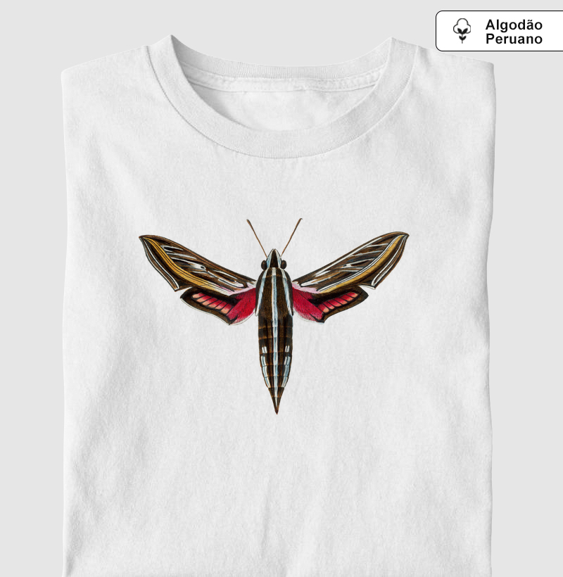 Mariposa