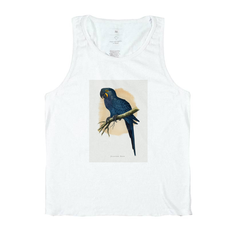 Arara-azul