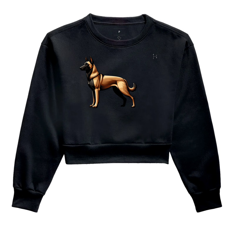Belgian Malinois