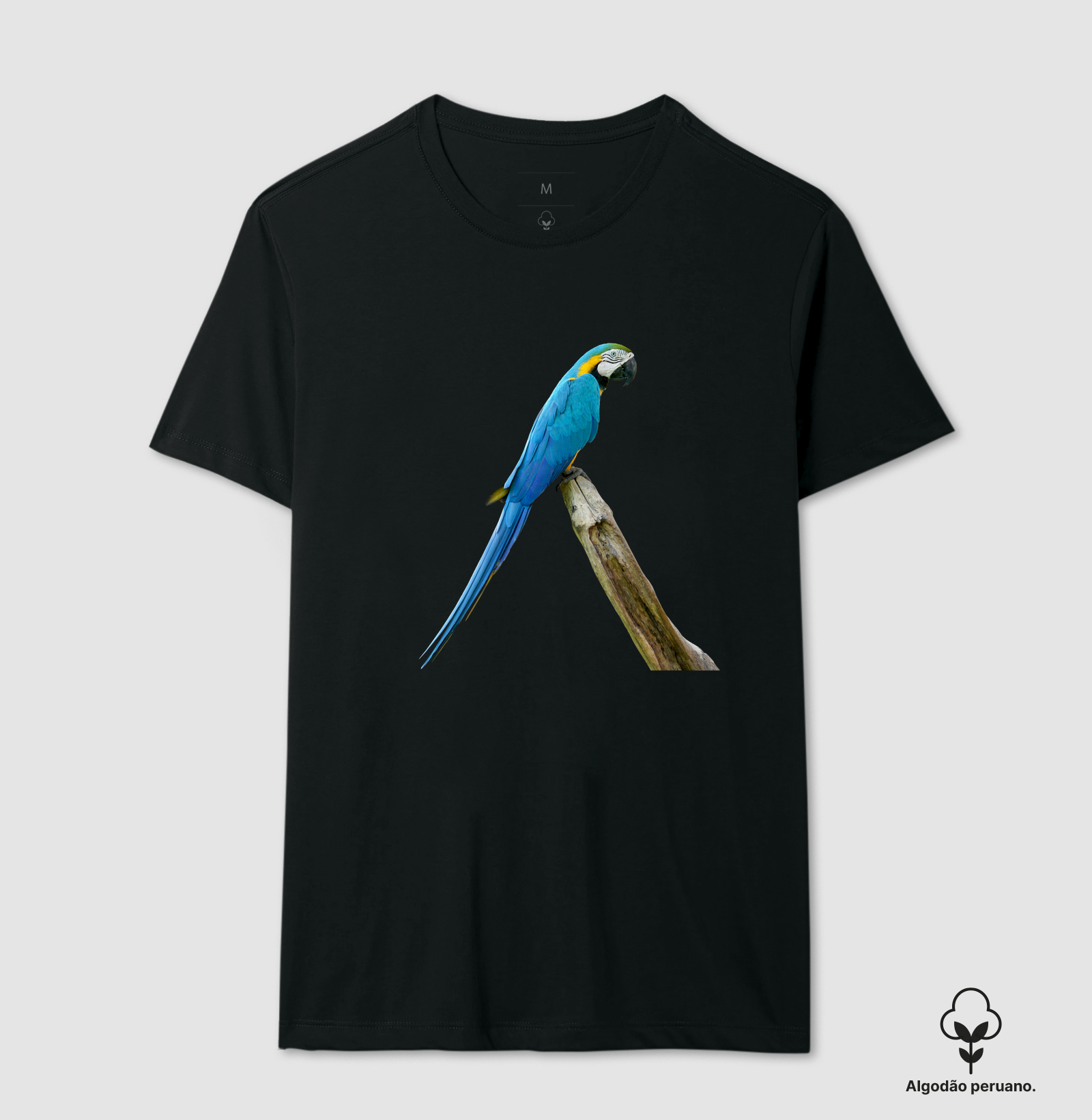 Arara-Azul