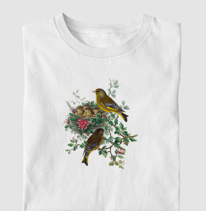 Greenfinch bird