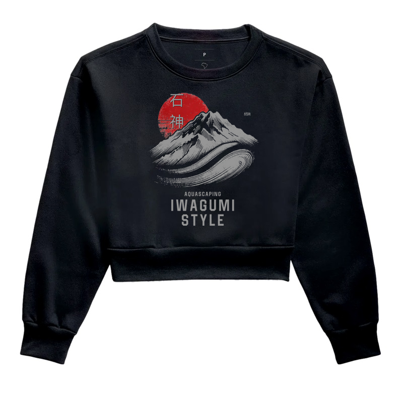 Iwagumi Style Japan Aquascaping