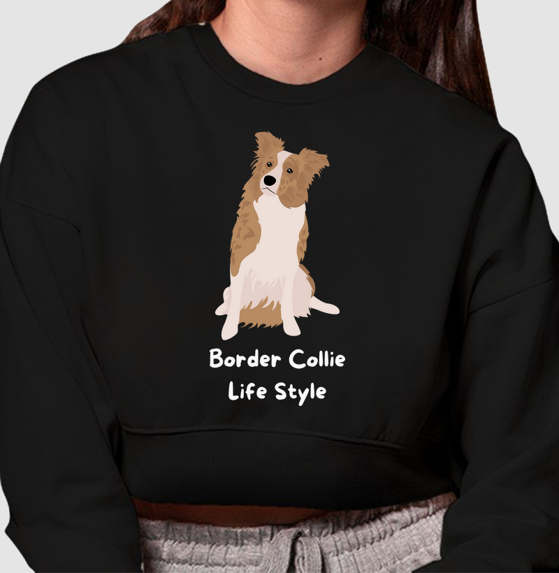Border collie life style