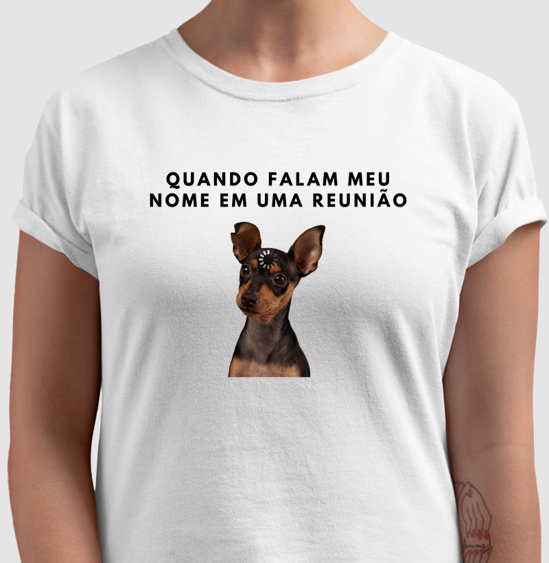 Reunião Mode