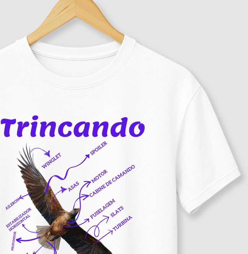 Trincando de aviação