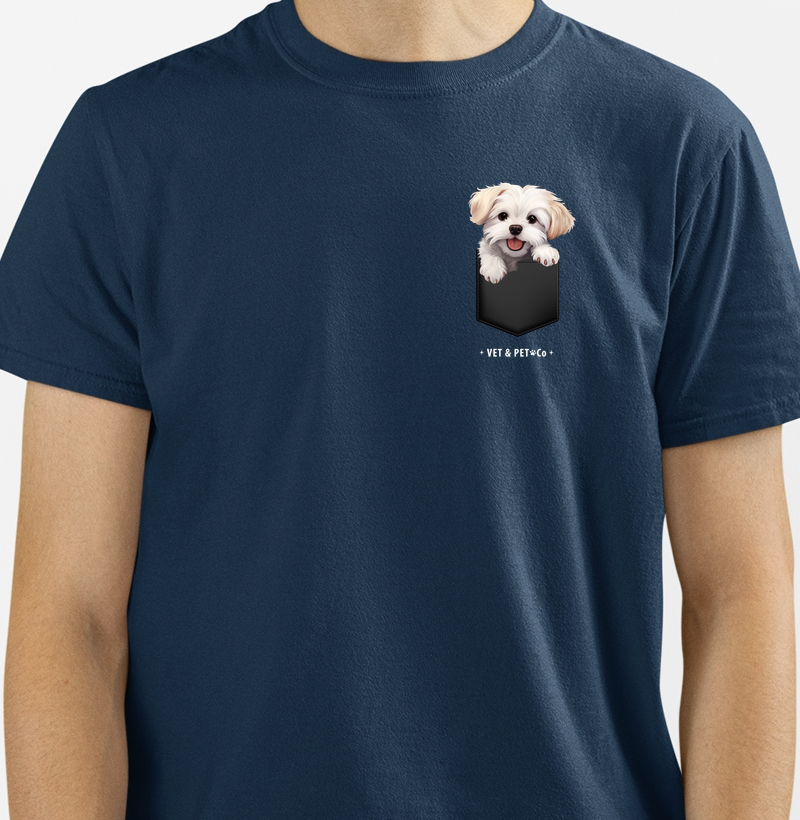 Cachorro de bolso (Maltês)