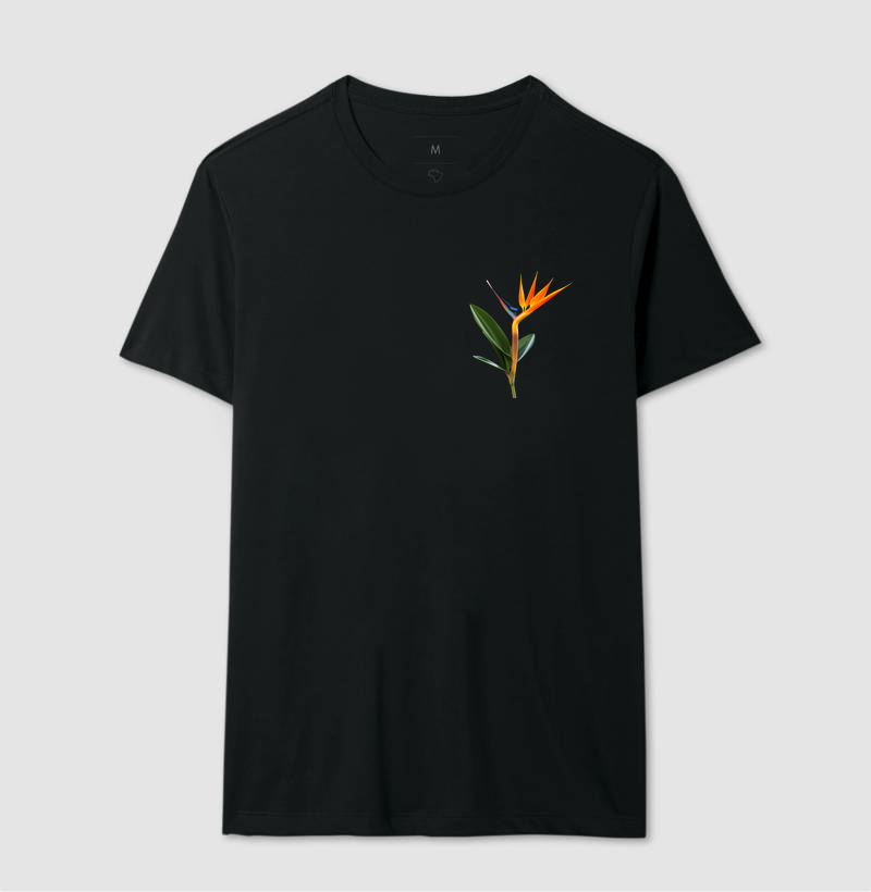 Minimalista planta
