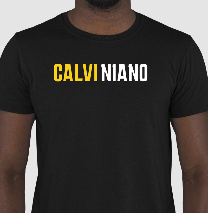 CAMISETA CALVINIANO