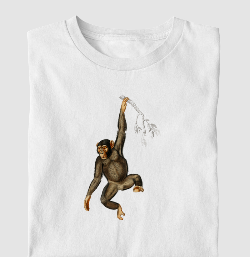 Chimpanzé