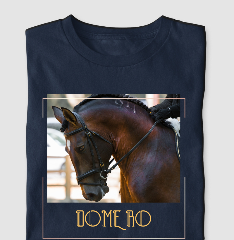 camiseta masculina / bariloche