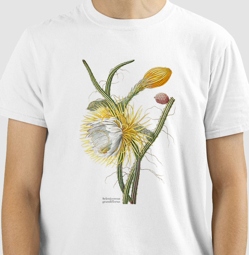 Camiseta Tshirt Selenicereus grandiflorus