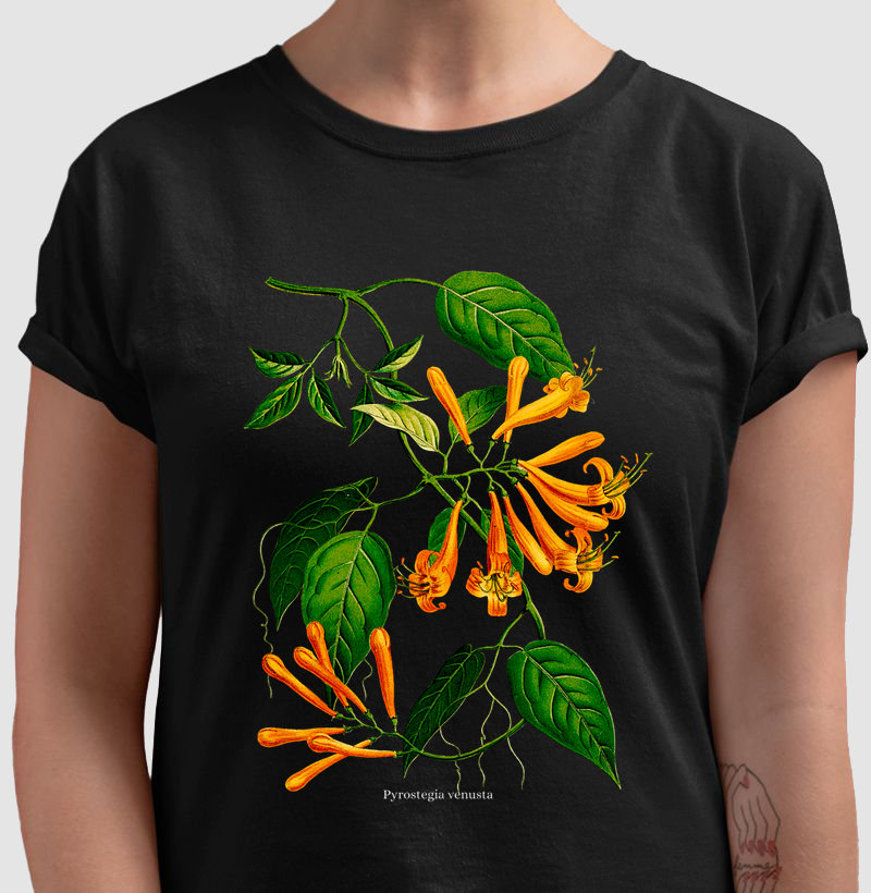 Camiseta Cipó de São João Pyrostegia venusta