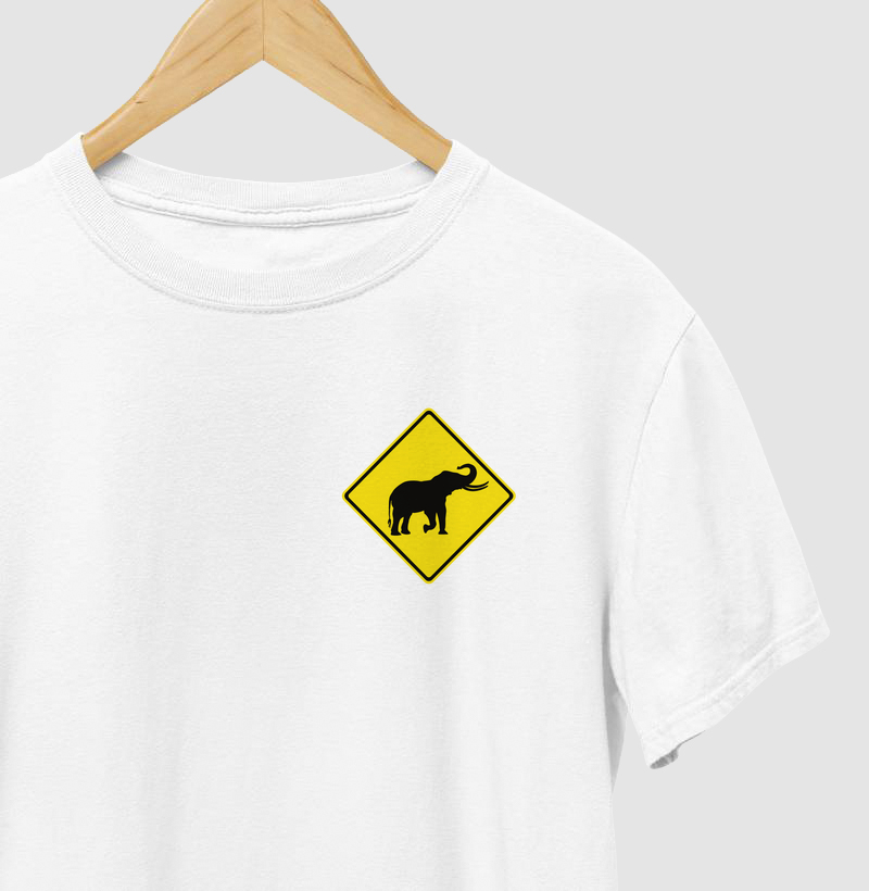  Atenção elefante