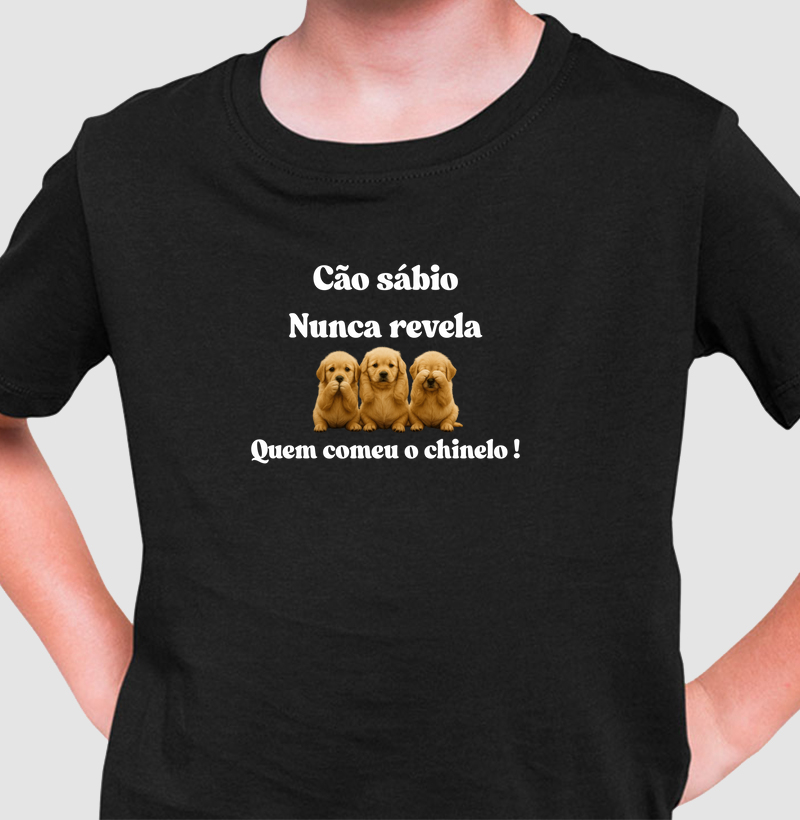 Cão sábio nunca revela quem comeu o chinelo!