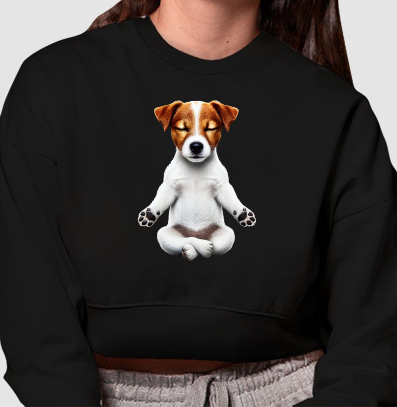 Jack Russell Meditando