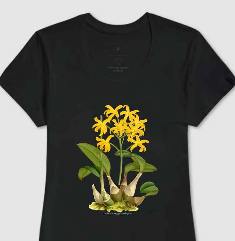 Camiseta Feminina Hoffmannseggella crispata (Laelia) t-shirt