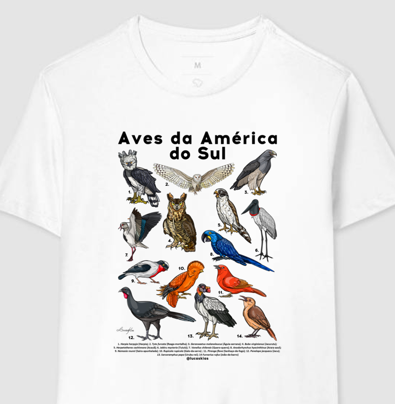 Aves da América do Sul - Modelo A