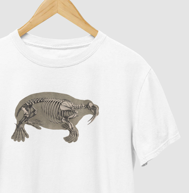 Esqueleto morsa (1821–38)