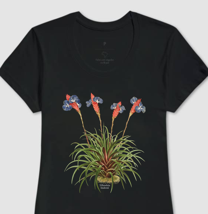 Camiseta Feminina Tillandsia lindenii