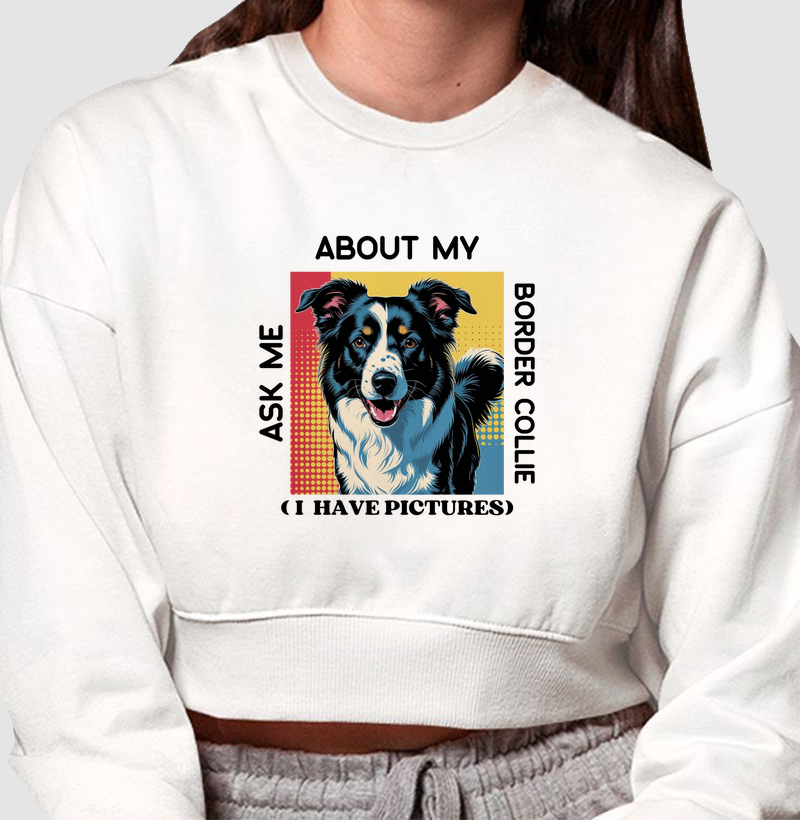 Ask me about my Border Collie