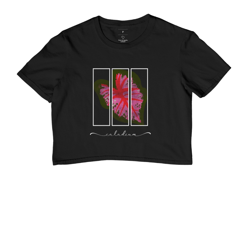 Caladium