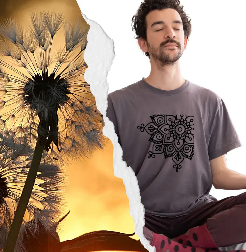 Mandala da Trilha