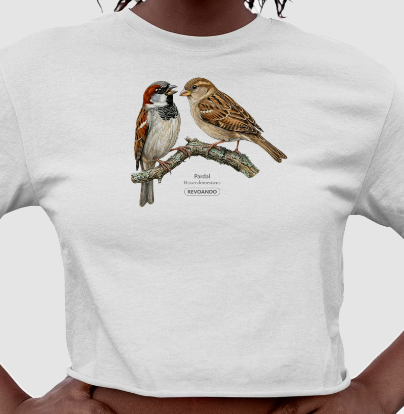 Traços Alados - Pardal - Cropped