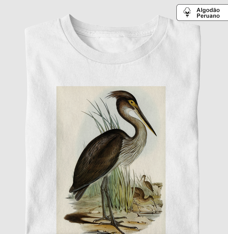 Great-billed Heron