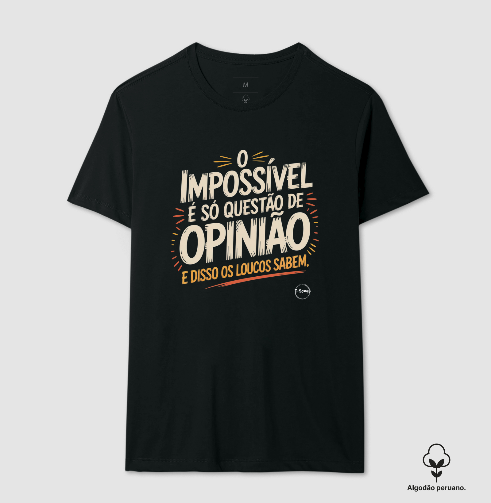 t-songs rock brasil 80