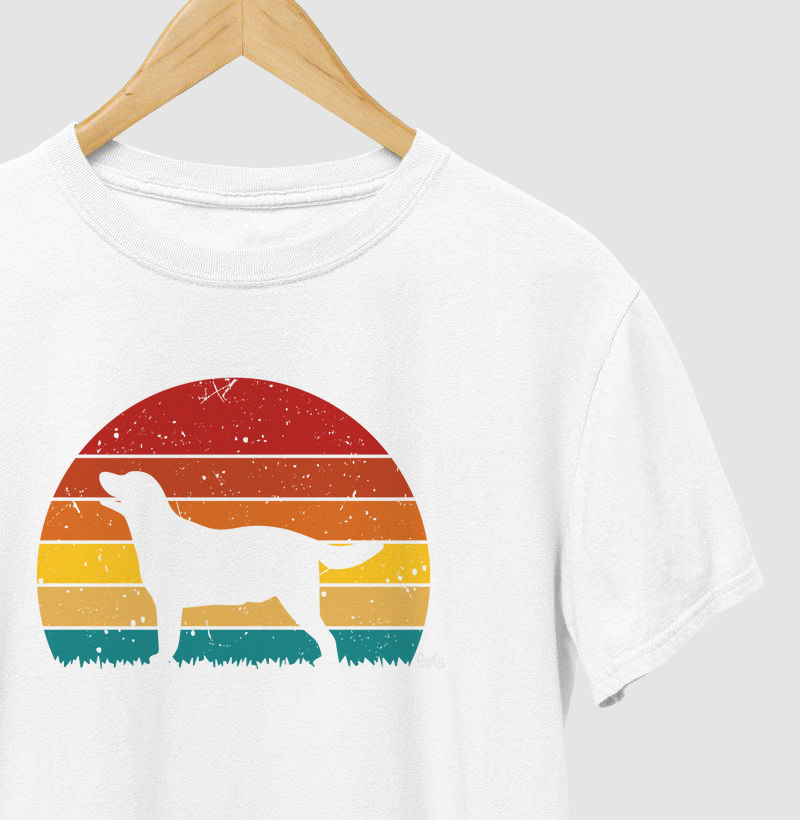 Sunset cão