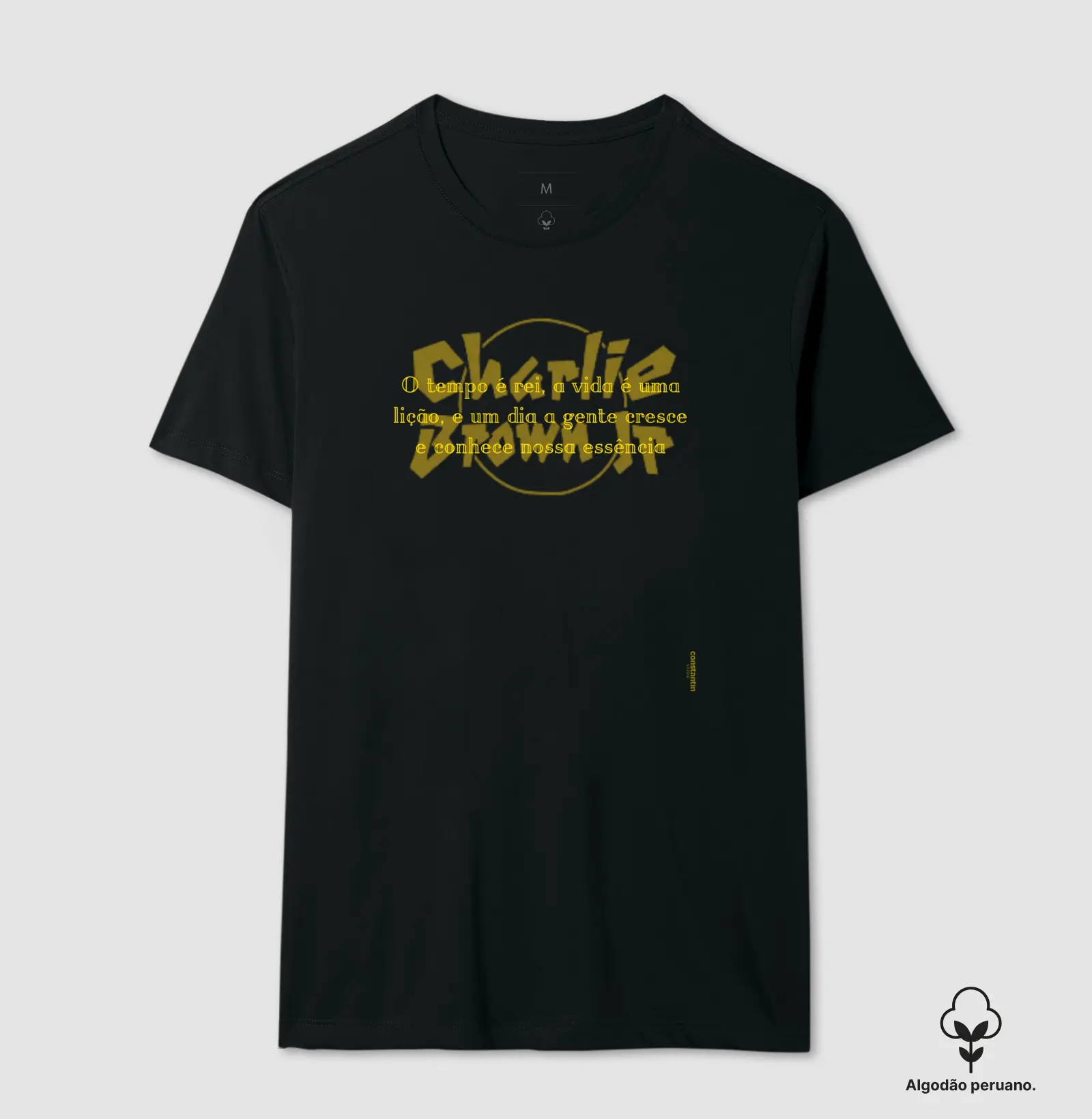  Charlie Brown Jr., “Senhor do Tempo”