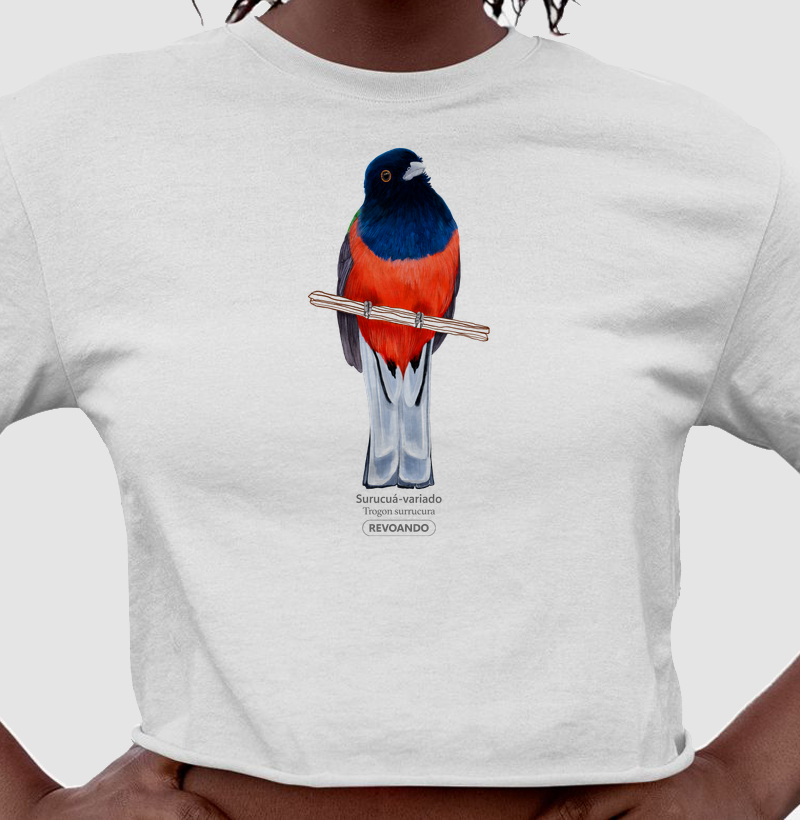 Aves do Brasil - Surucuá-variado - Cropped