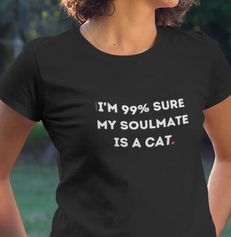 My Soulmate is a CAT!