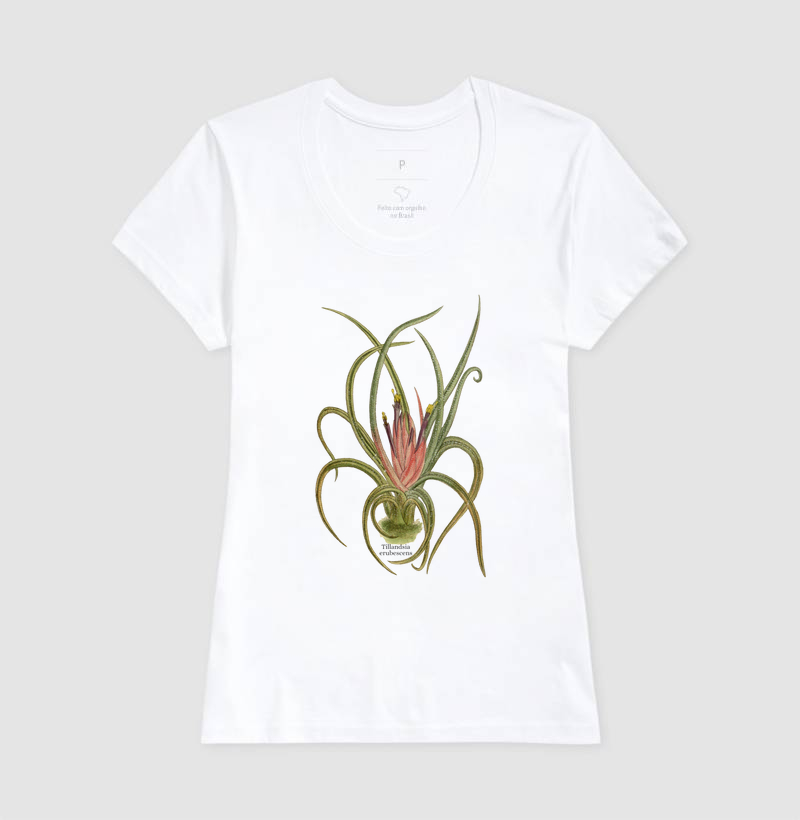Camiseta Feminina Tillandsia erubescens