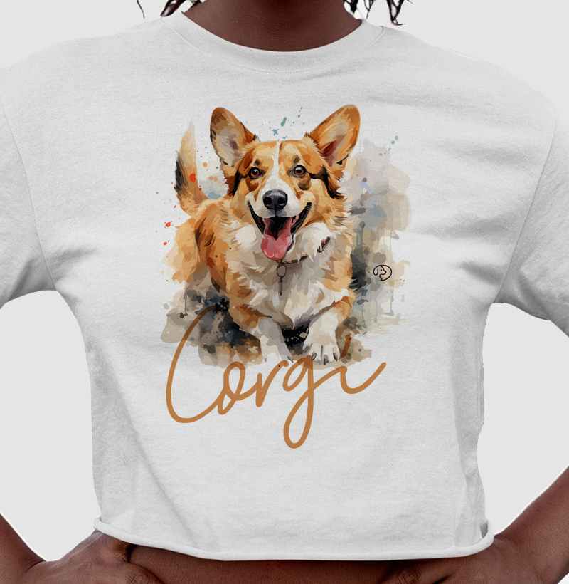 Corgi Splash