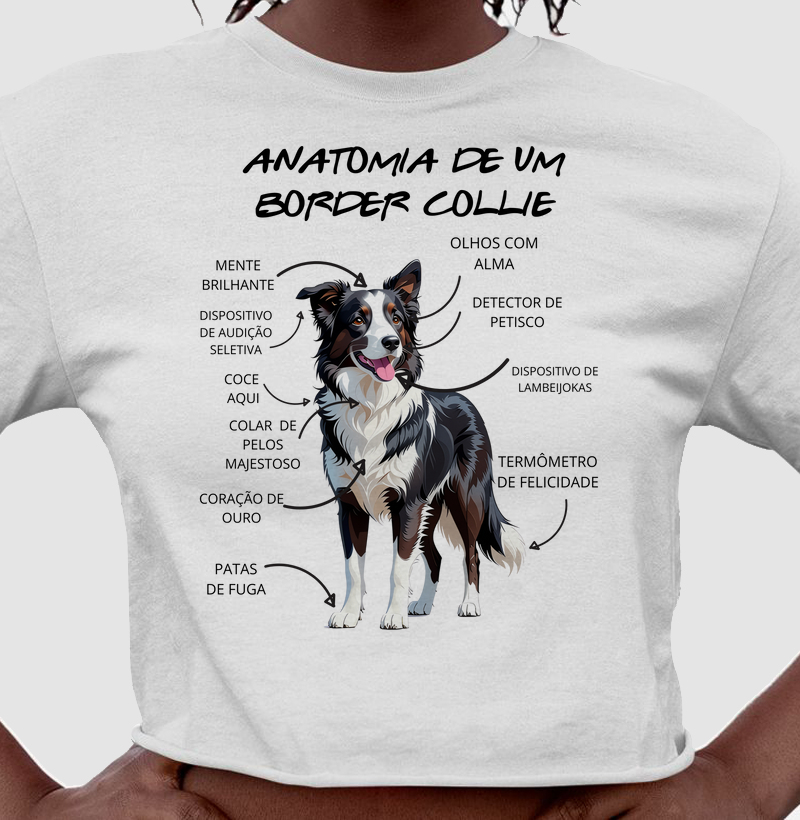 Anatomia de um border collie