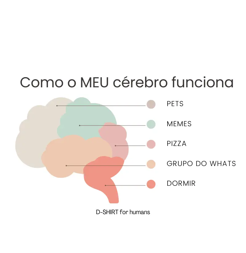 Como meu cérebro funciona