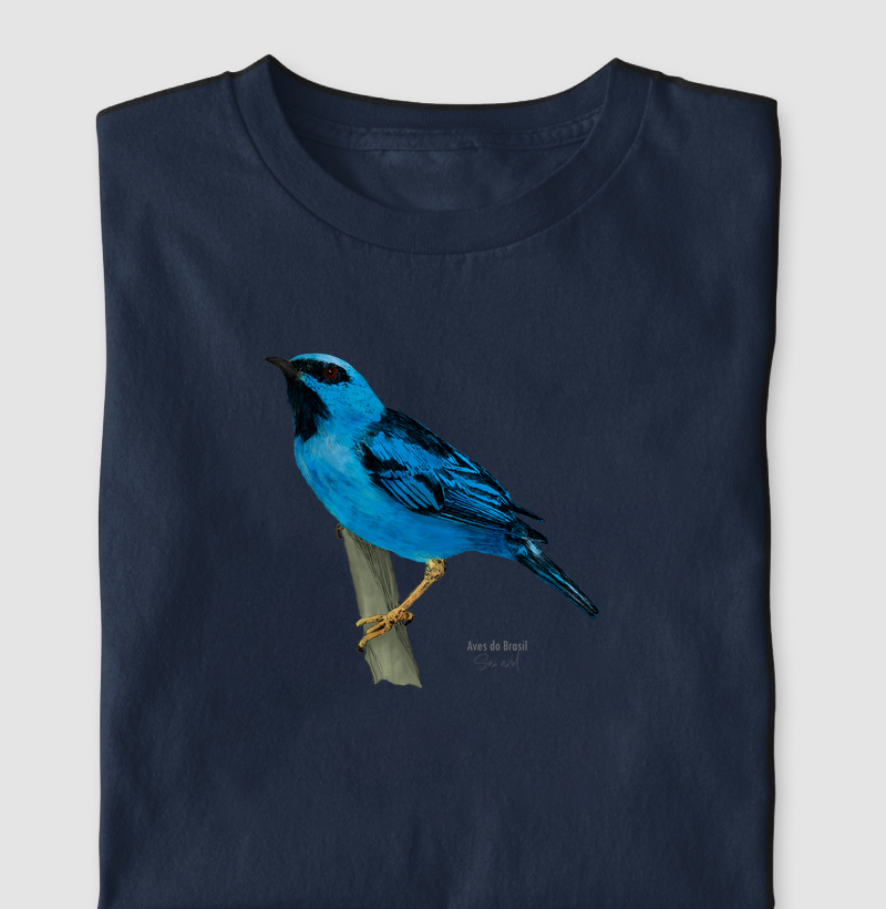 Aves do Brasil - Saí-azul