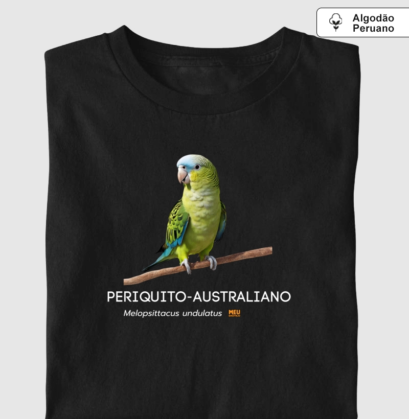 Periquito australiano II