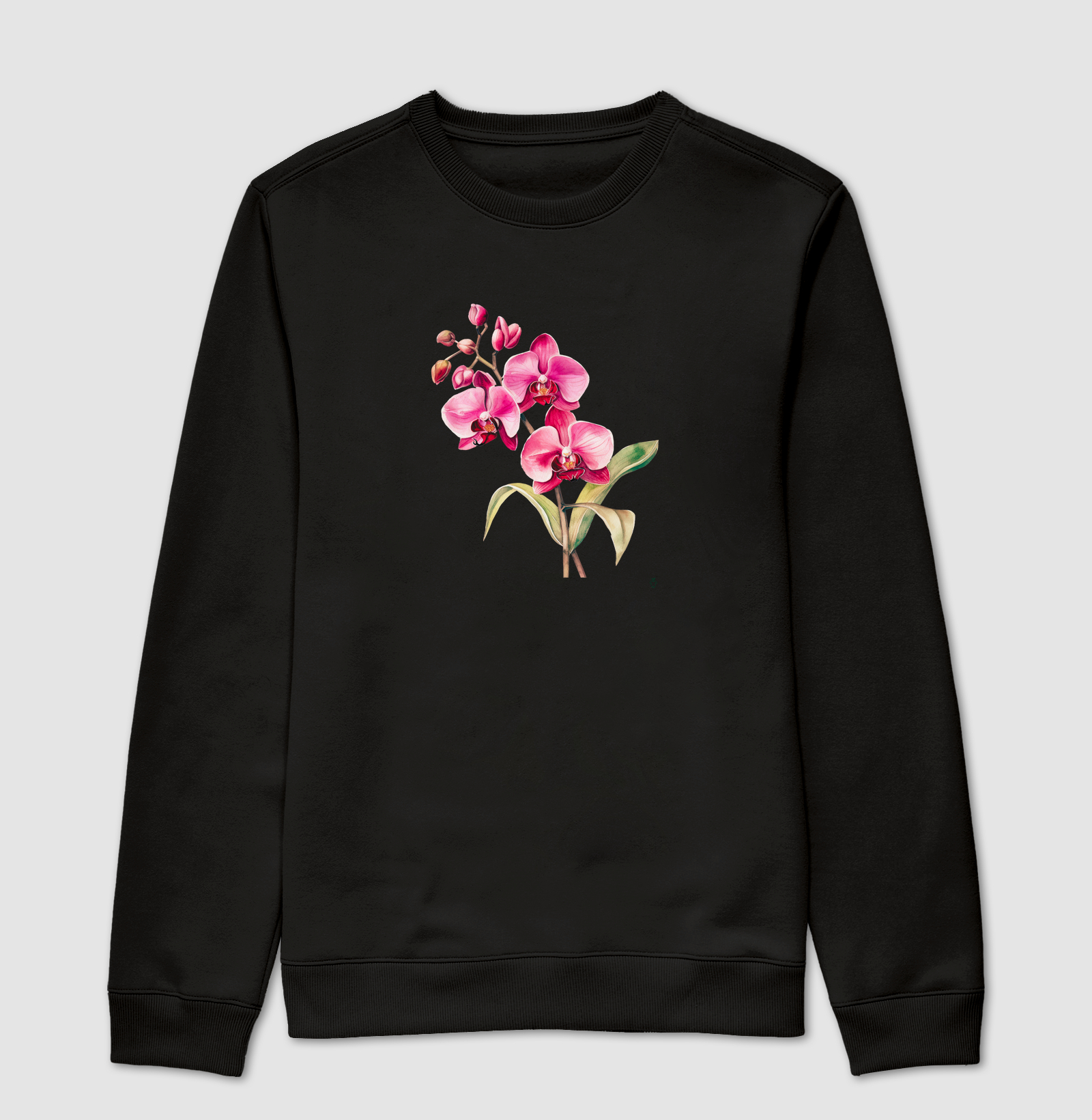 Coleção Orquídeas