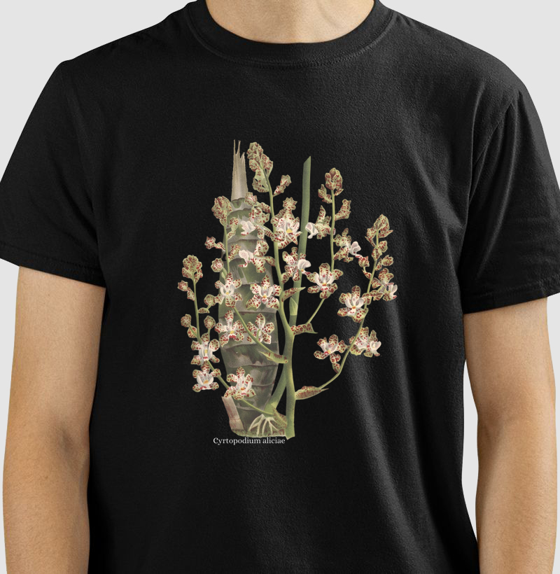 Camiseta T-Shirt Cyrtopodium aliciae