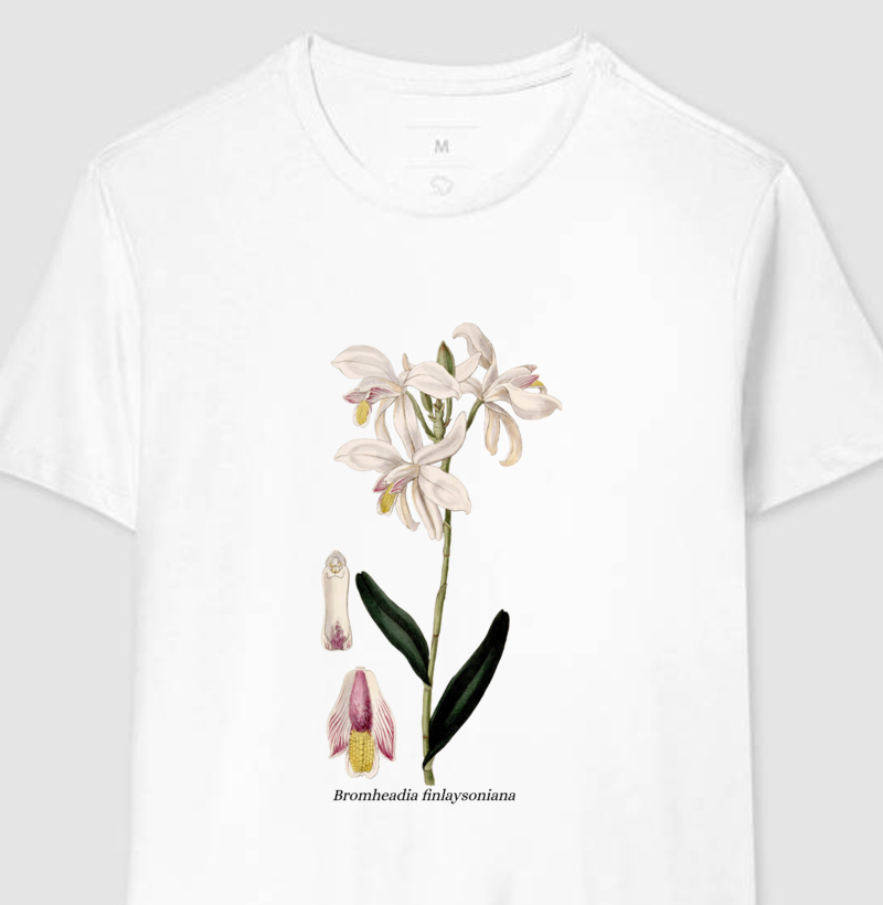 Camiseta Bromheadia finlaysoniana t-shirt