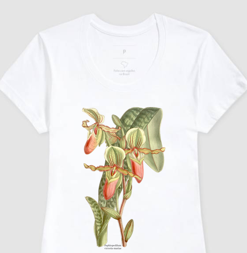 Camiseta Feminina Paphiopedilum victoria-mariae (orquidea)