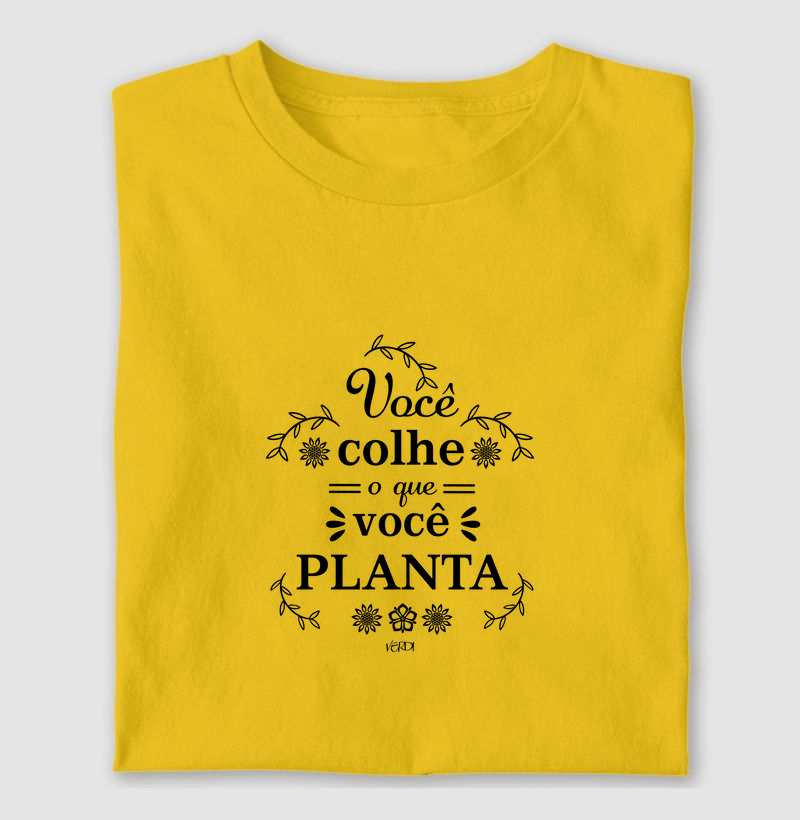 Você colhe o que você planta