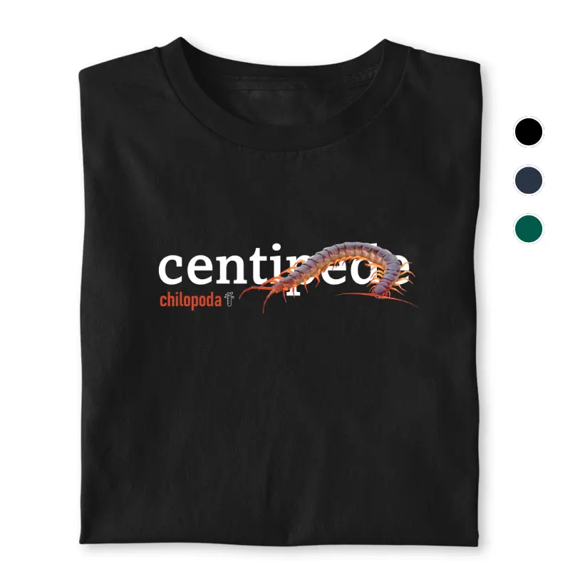 Centipede
