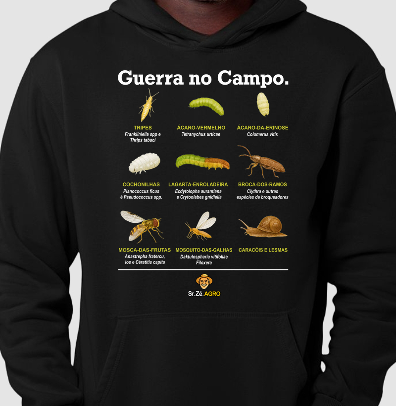 Guerra no Campo.
