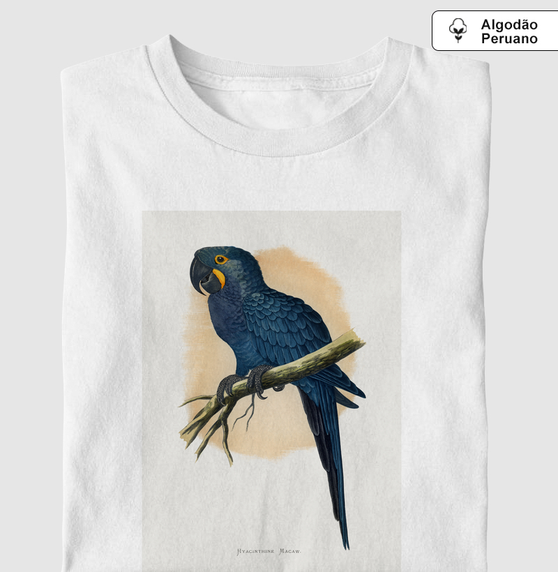 Arara-azul