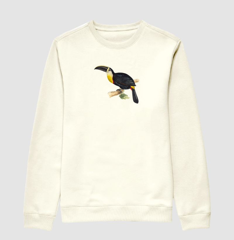 Ramphastos osculans