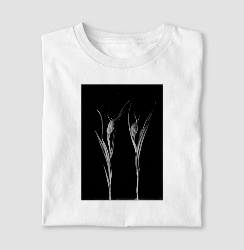 Nature Studies