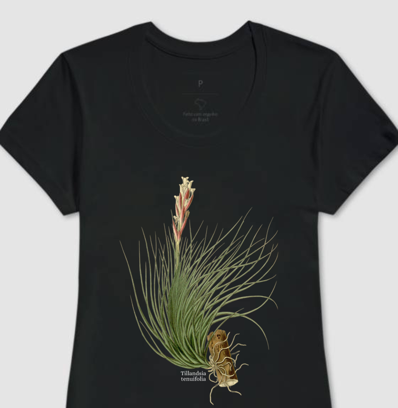 Camiseta Feminina Tillandsia tenuifolia